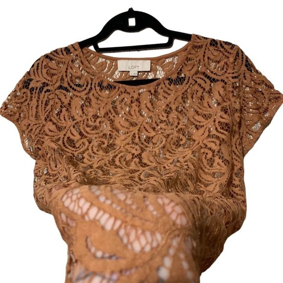 Ann Taylor Loft Burnt Orange Lace Top - Picture 2 of 5